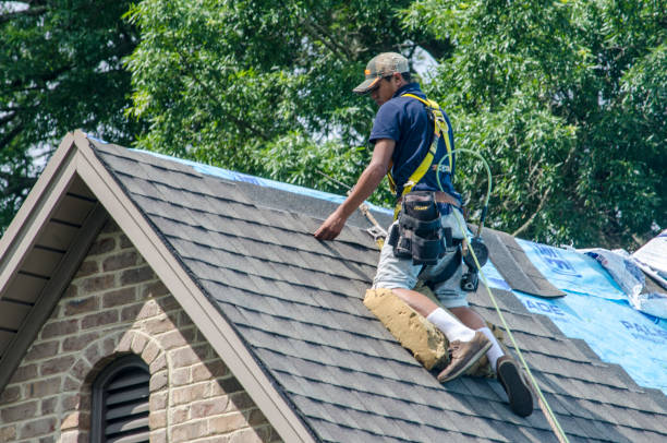 Best Roofing Contractor Near Me  in North Lewisburg, OH